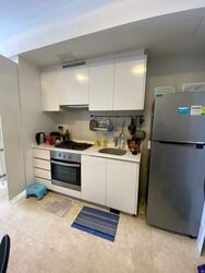 The Lakefront Residences (D22), Condominium #458662161